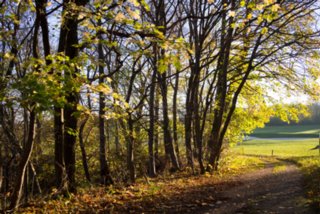 20131031_michelsberg_117