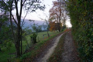 20131031_michelsberg_122