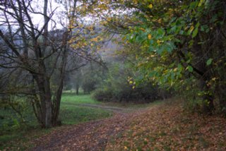 20131031_michelsberg_126
