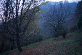 20131031_michelsberg_130