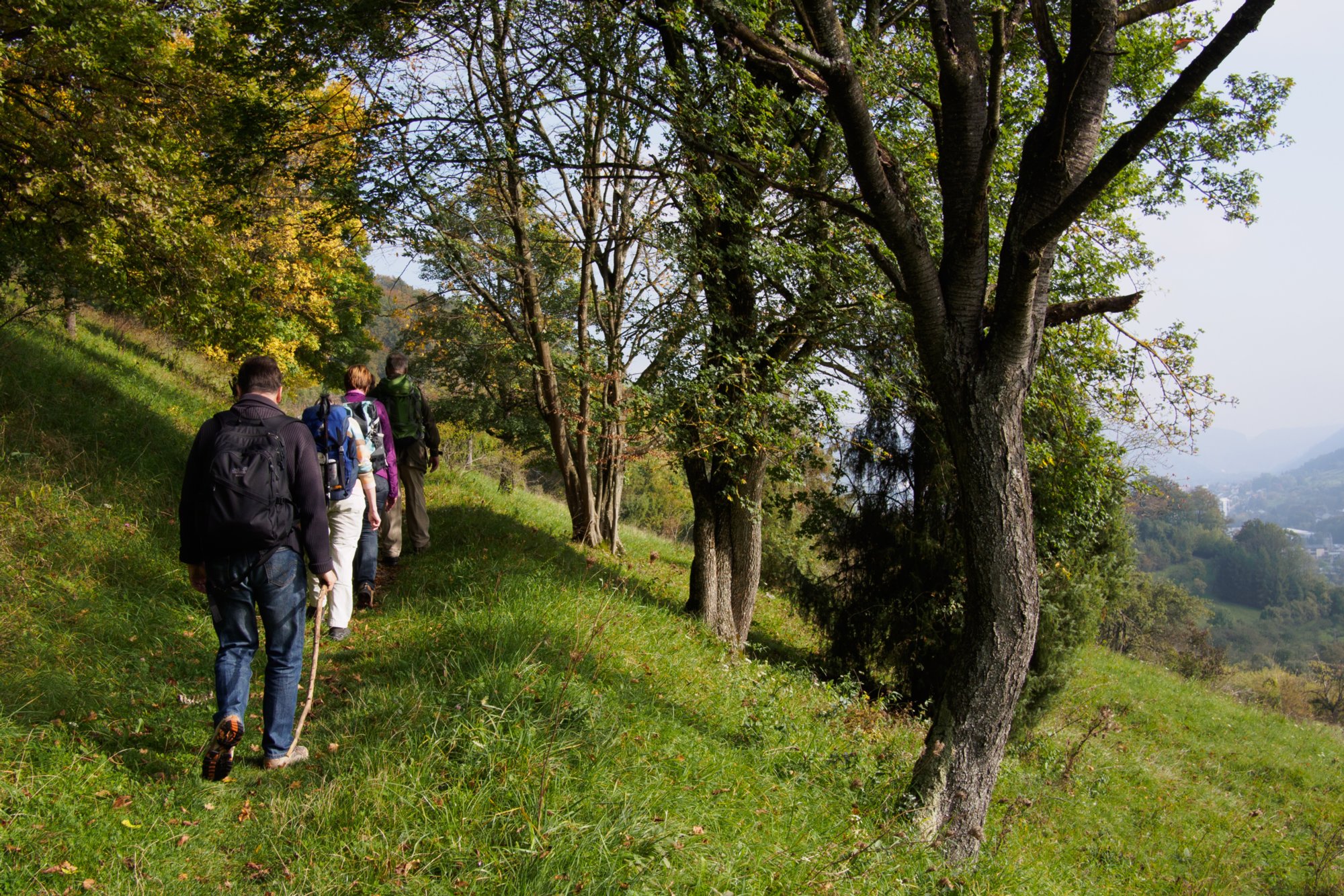 Zwischen Bad Überkingen und Friedhof Heiligenäcker Zwischen Bad Überkingen und Friedhof Heiligenäcker. Michelsbergwanderung: Von Bad Überkingen über den Dreimännersitz und den Ramsfels, Oberböhringen zur Hausener Wand, Jungfrauenfels zurück nach Bad Überkingen.