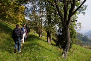 20141003_michelsberg_001