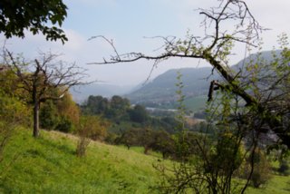 20141003_michelsberg_002