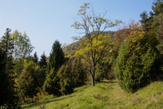20141003_michelsberg_003