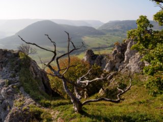 20141003_michelsberg_016