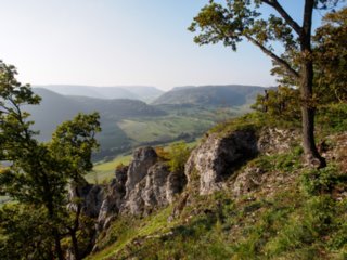 20141003_michelsberg_017