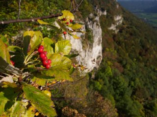20141003_michelsberg_020