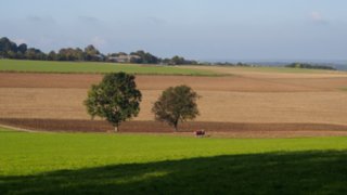 20141003_michelsberg_028