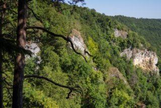 Blick vom Knopfmacherfelsen Wanderung im Oberen Donautal: Route: Start am Kloster Beuron - Knopfmacherfels - Jägerhaus (im Donautal) - Ziegelhütte (im Donautal) - Leibfelsen -...