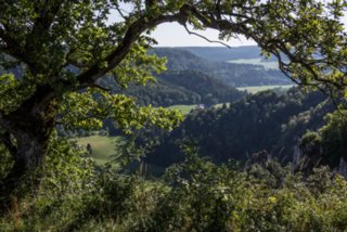 20130805_donautal_124