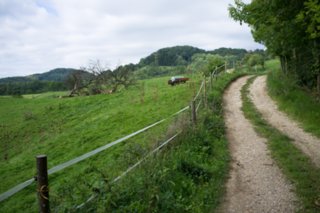 20110829_staufen-rechberg_014