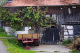 20110829_staufen-rechberg_019