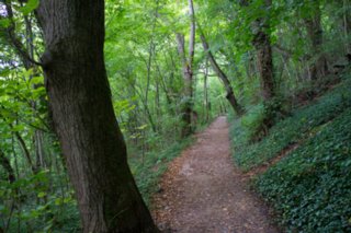 20110829_staufen-rechberg_035