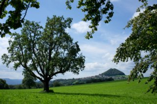 20110829_staufen-rechberg_054