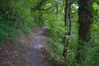 20110829_staufen-rechberg_057