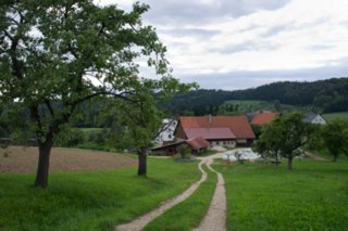 20110829_staufen-rechberg_118