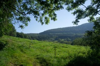 20110903_stuifen_008