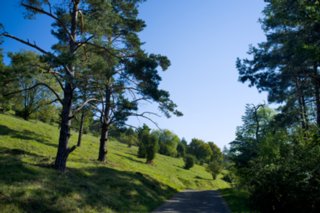 20110903_stuifen_023-bearb