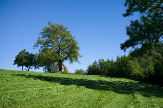 20110903_stuifen_033-bearb