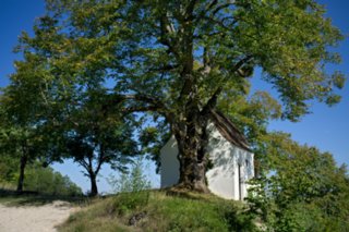 20110903_stuifen_036-bearb