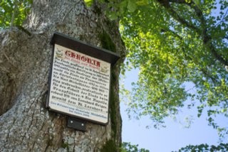 20110903_stuifen_053