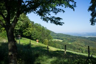 20110903_stuifen_054