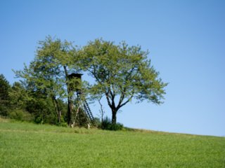 20110903_stuifen_164