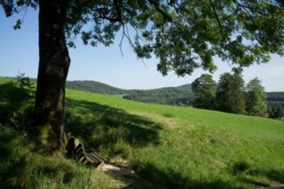 20110903_stuifen_167