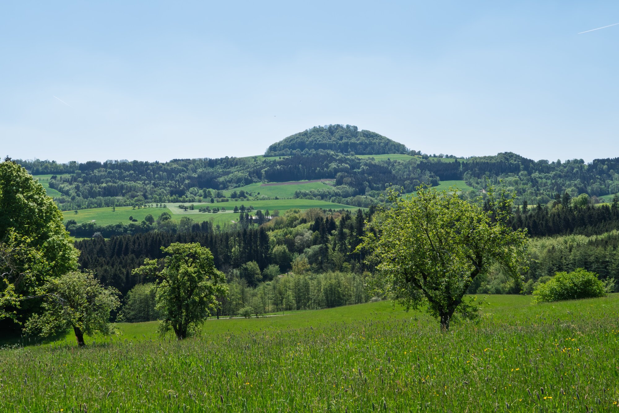 P1027204-Verbessert-RR_edit-2 Blick zum Hohenstaufen