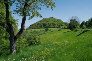 P1027206-Verbessert-RR