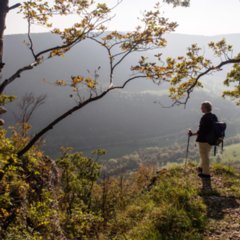 Michelsberg_2014-10-03
