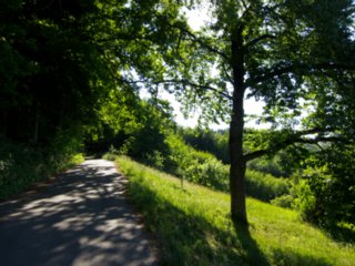20110530_kirchenweg_fichtenberg_006