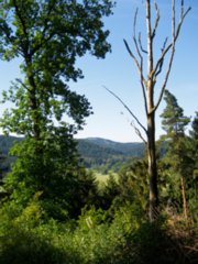 20110530_kirchenweg_fichtenberg_009