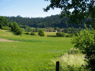20110530_kirchenweg_fichtenberg_013