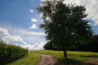 20100927_flinsbergrunde_003