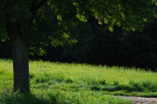 20100927_flinsbergrunde_006