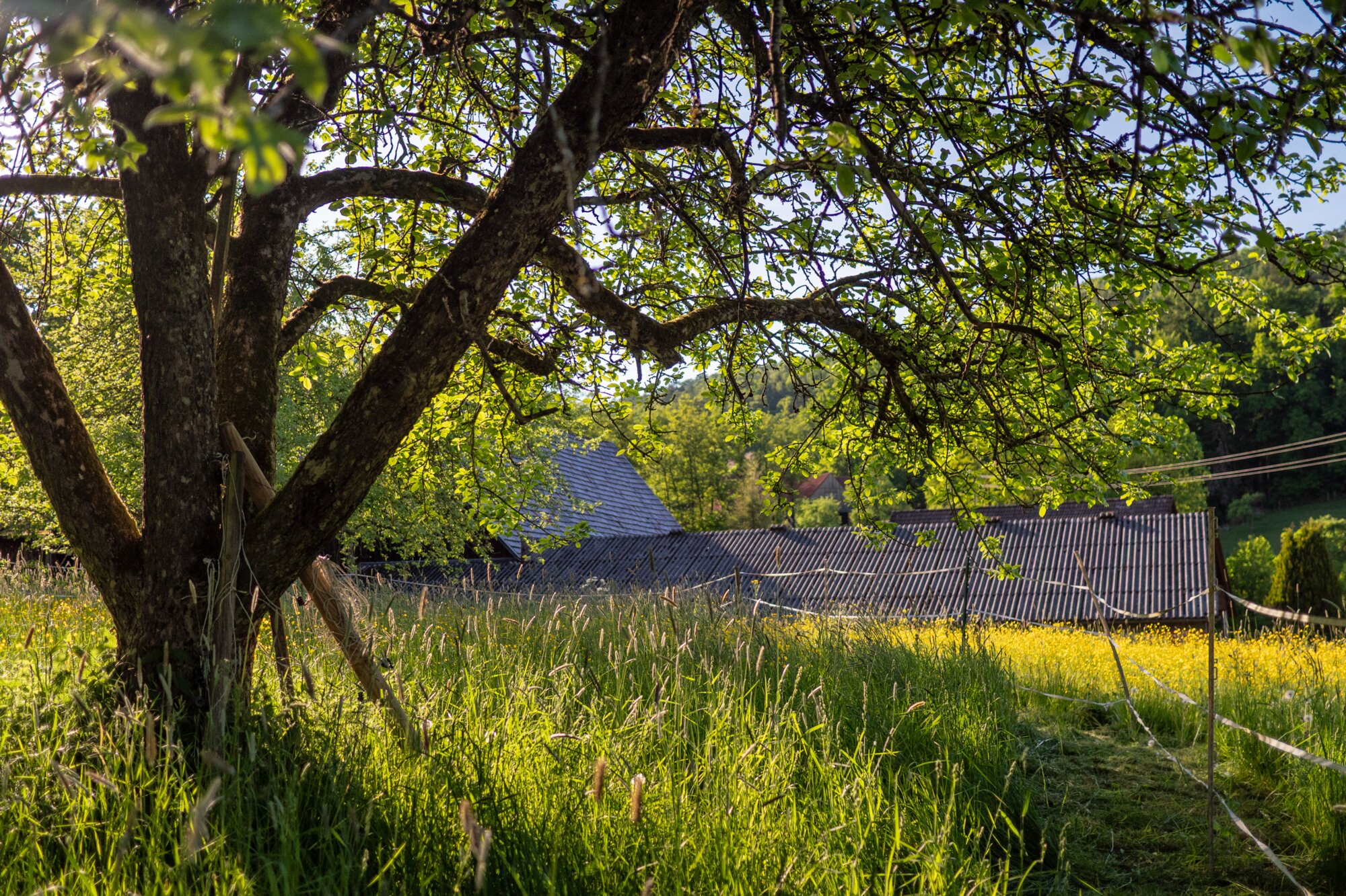P1027297_edit 
