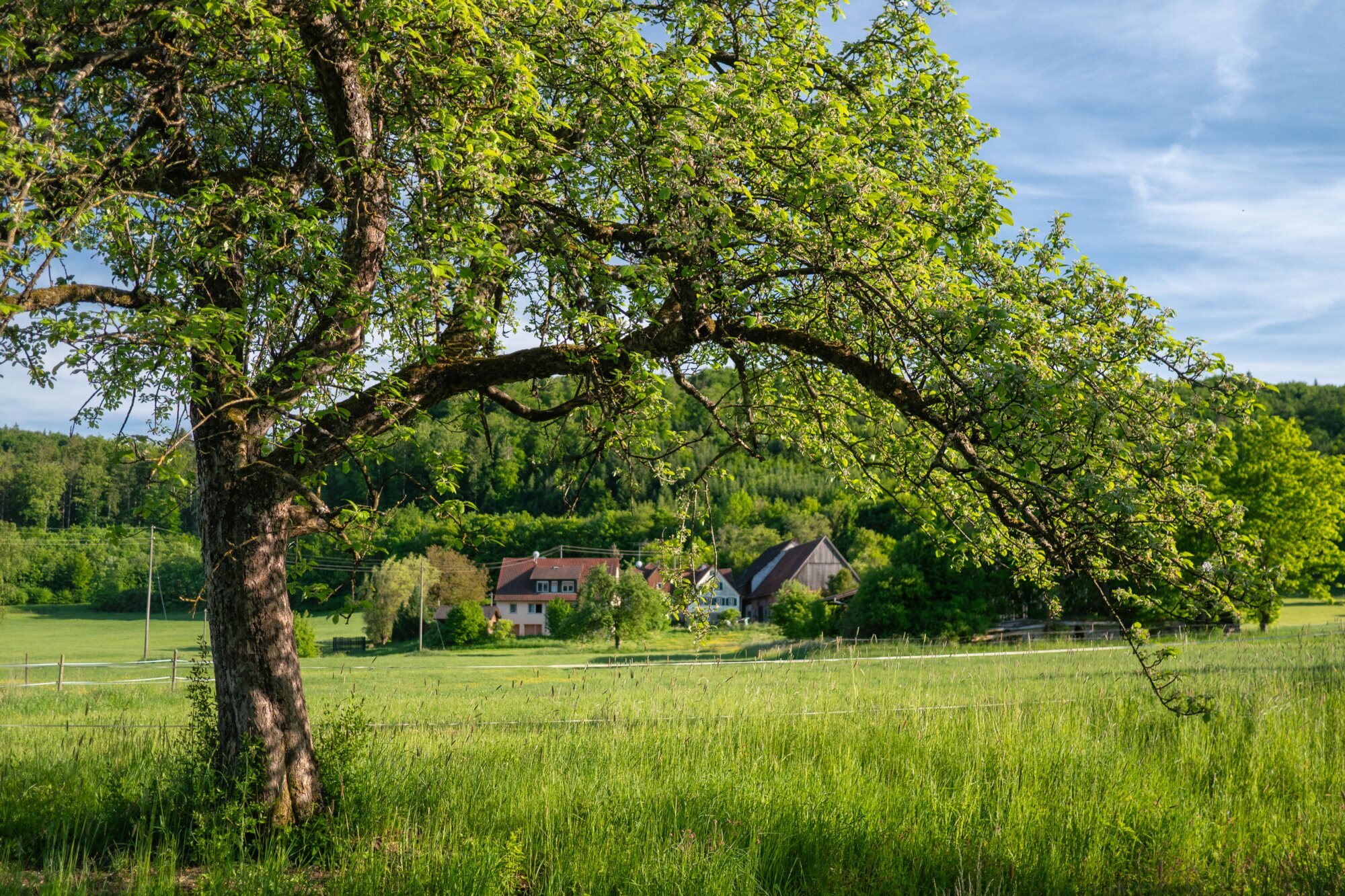 P1027308_edit 