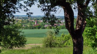 P1027226-Verbessert-RR_edit