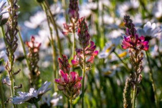 P1027279_edit