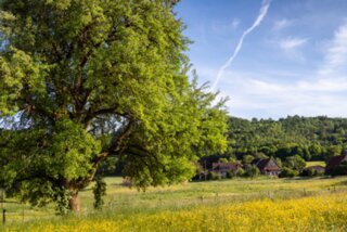 P1027291-Verbessert-RR_edit