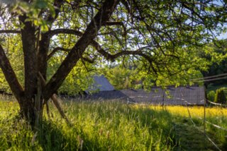 P1027297_edit
