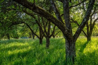P1027302_edit