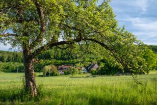 P1027308_edit