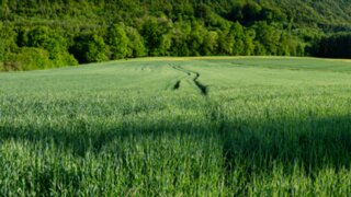P1027312_edit_edit