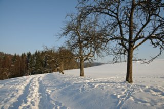 Winter-Wanderung zu den Hörrschbacgwasserfällen Winter-Wanderung von Murrhardt zu den Hörschbachwasserfällen und über Waltersberg zurück nach Murrhardt.