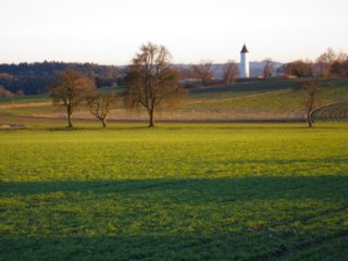 20110207_kornberg_051