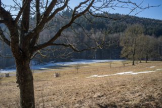 20120222_gnadental_008