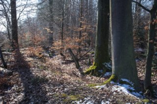 20120222_gnadental_018