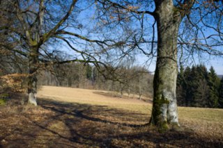 20120222_gnadental_020